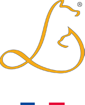 Lady Bel